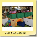 263-15.10.2022
