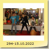 294-15.10.2022