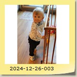 2024-12-26-003
