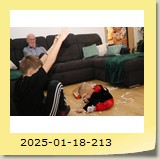 2025-01-18-213