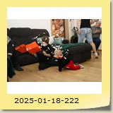 2025-01-18-222