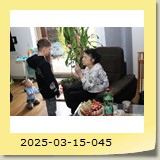 2025-03-15-045